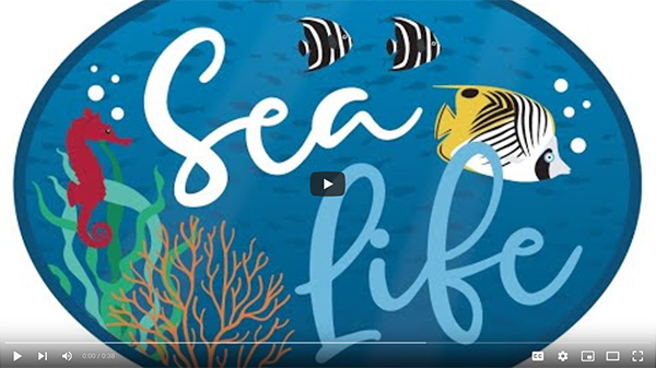 Sea Life Video